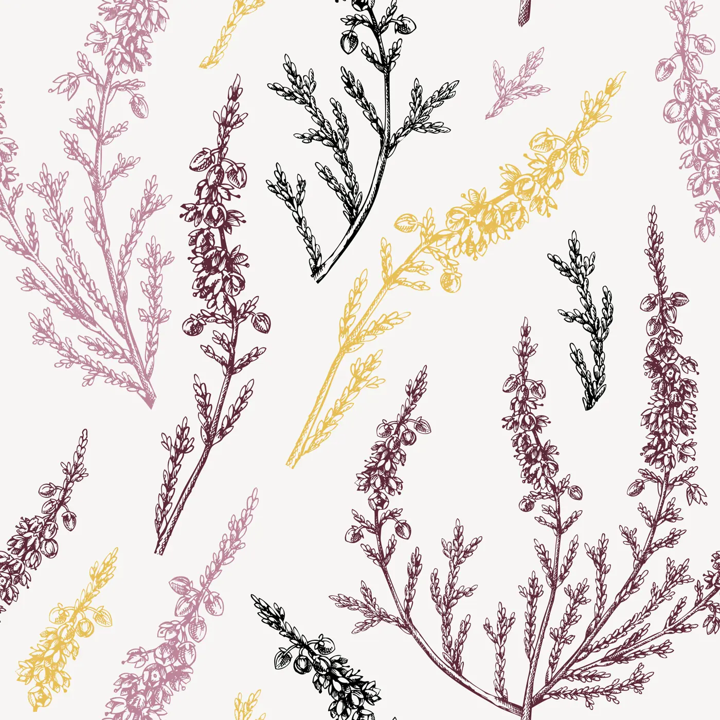 Hand sketched heather background. Vintage summer florals drawing seamless pattern. Traditional plant of Scotland. Botanical elements in engraved style. Heather flowers backdrop. Illustration